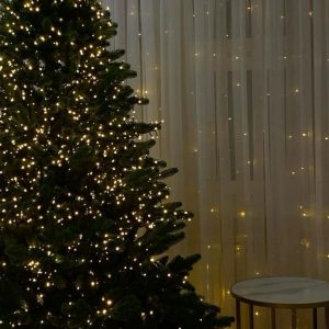 SORTEO ESPECIAL DE NAVIDAD – AURADIVINA